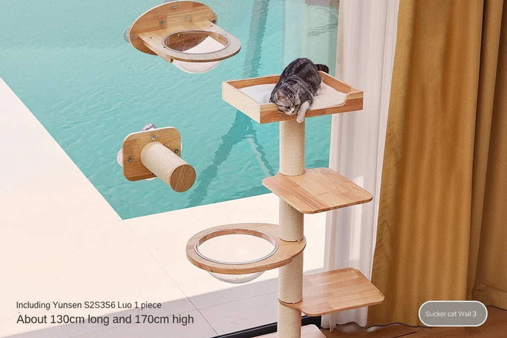 The VistaShelf™ | Floating Window Perch
