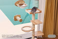 The VistaShelf™ | Floating Window Perch