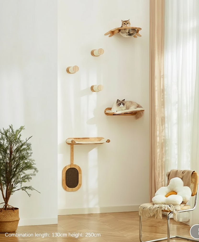 The VistaShelf™ | Floating Window Perch