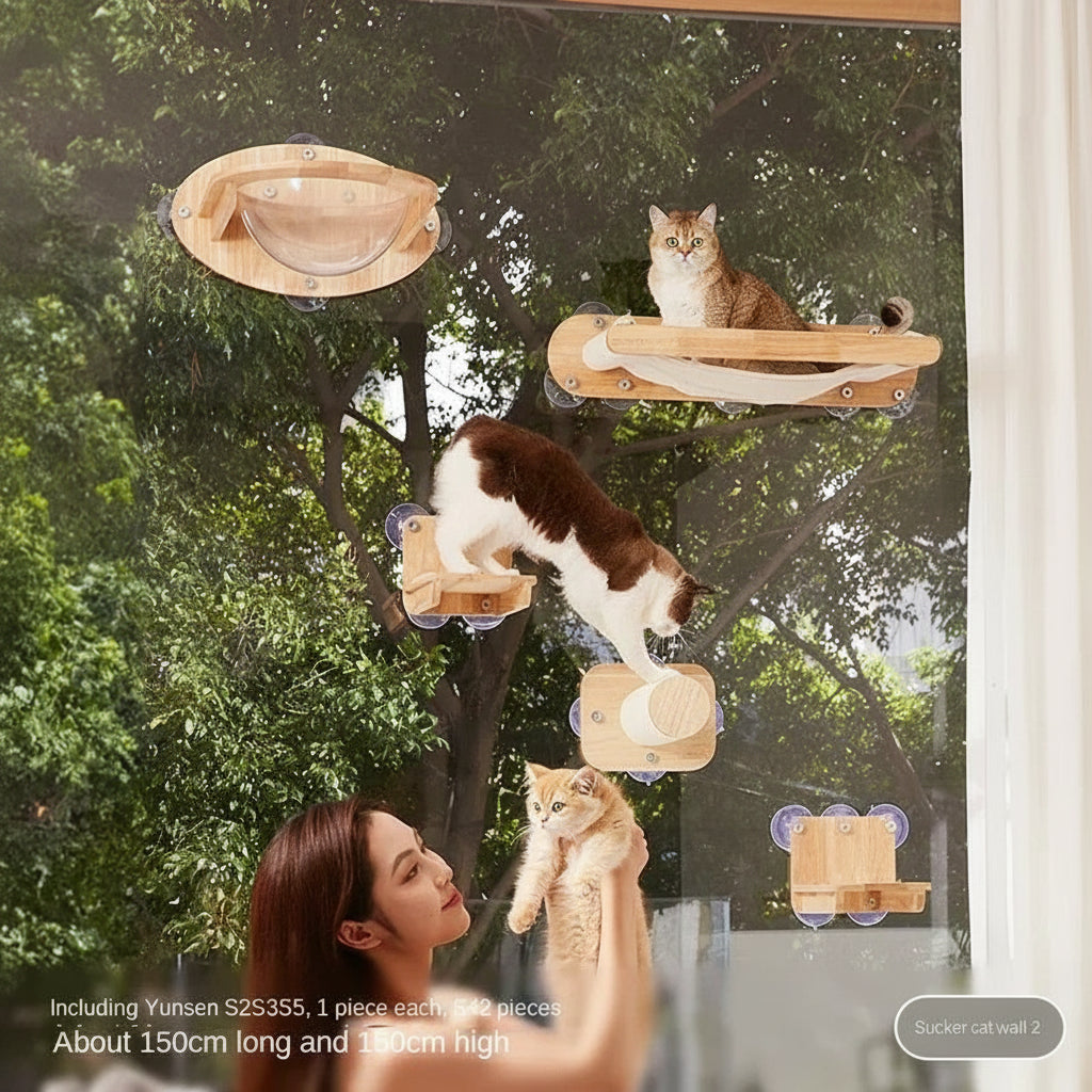 The VistaShelf™ | Floating Window Perch